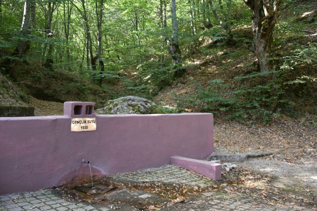 Gençlik Suyu